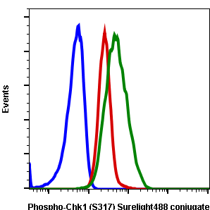 Phospho-Chk1 (Ser317) (G1) rabbit mAb SureLight 488 conjugate Antibody