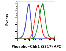 Phospho-Chk1 (Ser317) (G1) rabbit mAb APC conjugate Antibody