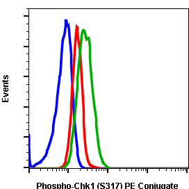 Phospho-Chk1 (Ser317) (G1) rabbit mAb PE conjugate Antibody
