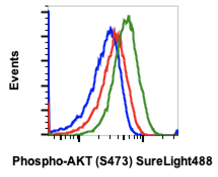 Phospho-Akt1 (Ser473) (B9) rabbit mAb SureLight488 conjugate Antibody