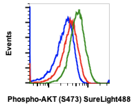 Phospho-Akt1 (Ser473) (B9) rabbit mAb SureLight488 conjugate