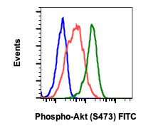 Phospho-Akt1 (Ser473) (B9) rabbit mAb FITC conjugate Antibody