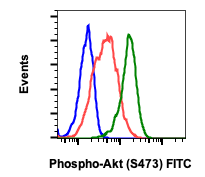 Phospho-Akt1 (Ser473) (B9) rabbit mAb FITC conjugate