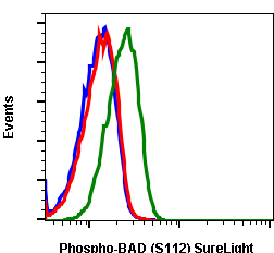 Phospho-BAD (Ser112) (B9) rabbit mAb SureLight 488 conjugate Antibody