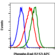 Phospho-BAD (Ser112) (B9) rabbit mAb APC conjugate Antibody