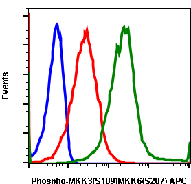 Phospho-MKK3 (S189)/MKK6 (S207) (D3) rabbit mAb APC conjugate Antibody