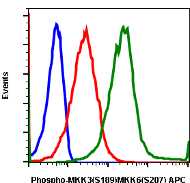 Phospho-MKK3 (S189)/MKK6 (S207) (D3) rabbit mAb APC conjugate