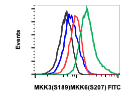 Phospho-MKK3 (S189)/MKK6 (S207) (D3) rabbit mAb FITC conjugate Antibody