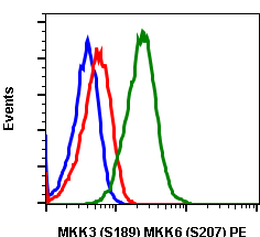 Phospho-MKK3 (S189)/MKK6 (S207) (D3) rabbit mAb PE conjugate Antibody