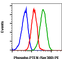 Phospho-PTEN (Ser380) (NA9) rabbit mAb PE conjugate Antibody