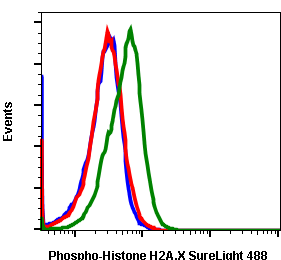 Phospho-Histone H2A.X (Ser139) (1E4) rabbit mAb SureLight 488 conjugate Antibody