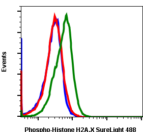 Phospho-Histone H2A.X (Ser139) (1E4) rabbit mAb SureLight 488 conjugate
