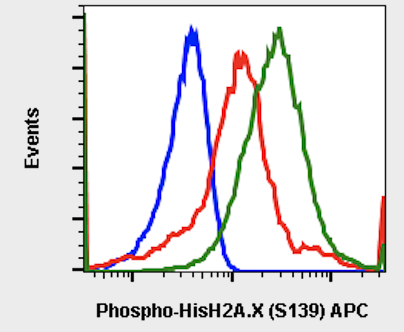 Phospho-Histone H2A.X (Ser139) (1B3) rabbit mAb FITC conjugate Antibody