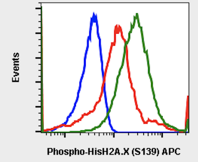 Phospho-Histone H2A.X (Ser139) (1B3) rabbit mAb FITC conjugate