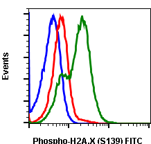Phospho-Histone H2A.X (Ser139) (1E4) rabbit mAb FITC conjugate Antibody