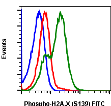 Phospho-Histone H2A.X (Ser139) (1E4) rabbit mAb FITC conjugate