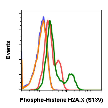 Phospho-Histone H2A.X (Ser139) (1E4) rabbit mAb Antibody