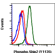 Phospho-Ship2 (Tyr1135) (1D2) rabbit mAb SureLight488 conjugate Antibody