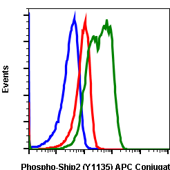 Phospho-Ship2 (Tyr1135) (1D2) rabbit mAb APC conjugate Antibody