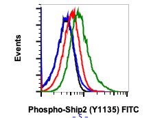 Phospho-Ship2 (Tyr1135) (1D2) rabbit mAb APC conjugate Antibody