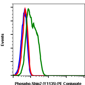 Phospho-Ship2 (Tyr1135) (1D2) rabbit mAb PE conjugate Antibody