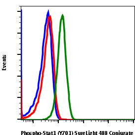 Phospho-Stat1 (Tyr701) (3E6)rabbit mAb SureLight488 conjugate Antibody