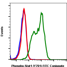 Phospho-Stat1 (Tyr701) (3E6) rabbit mAb FITC conjugate Antibody