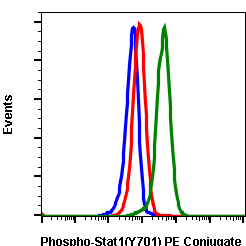 Phospho-Stat1 (Tyr701) (3E6) rabbit mAb PE conjugate Antibody