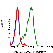 Phospho-MET(Tyr1234/1235) (6F11) rabbit mAb FITC conjugate Antibody