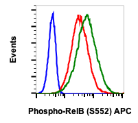 Phospho-RelB (Ser552) (A7) rabbit mAb APC conjugate Antibody