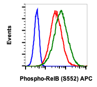 Phospho-RelB (Ser552) (A7) rabbit mAb APC conjugate
