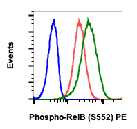 Phospho-RelB (Ser552) (A7) rabbit mAb PE conjugate Antibody