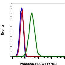 Phospho-PLCγ1 (Tyr783) (C4) rabbit mAb FITC conjugate Antibody