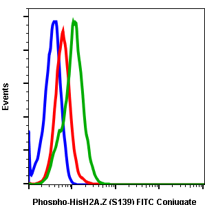 Phospho-Histone H2A.X (Ser139) (1B3) rabbit mAb FITC conjugate