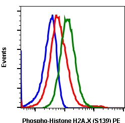 Phospho-Histone H2A.X (Ser139) (1B3) rabbit mAb PE conjugate Antibody