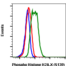 Phospho-Histone H2A.X (Ser139) (1B3) rabbit mAb Antibody