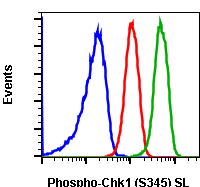 Phospho-Chk1 (Ser345) (R3F9) rabbit mAb SureLight488 conjugate Antibody