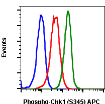 Phospho-Chk1 (Ser345) (R3F9) rabbit mAb APC conjugate Antibody