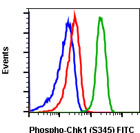 Phospho-Chk1 (Ser345) (R3F9) rabbit mAb FITC conjugate Antibody