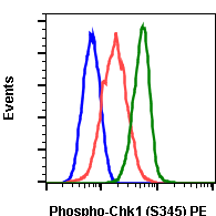 Phospho-Chk1 (Ser345) (R3F9) rabbit mAb PE conjugate Antibody
