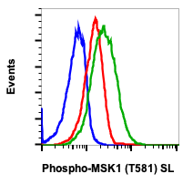 Phospho-MSK1 (Thr581) (A5) rabbit mAb SureLight488 conjugate Antibody