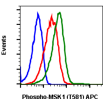 Phospho-MSK1 (Thr581) (A5) rabbit mAb APC conjugate Antibody