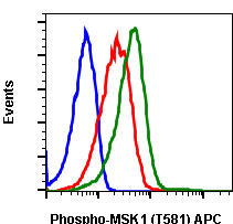 Phospho-MSK1 (Thr581) (A5) rabbit mAb APC conjugate