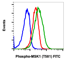 Phospho-MSK1 (Thr581) (A5) rabbit mAb FITC conjugate Antibody