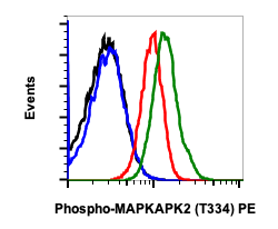 Phospho-MAPKAPK2 (Thr334) (H2) rabbit mAb PE conjugate Antibody