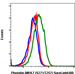 Phospho-MKK7 (ser271/Thr275) (R4F9) rabbit mAb SureLight 488 conjugate Antibody