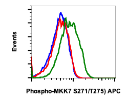 Phospho-MKK7 (Ser271/Thr275) (R4F9) rabbit mAb APC conjugate