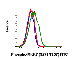 Phospho-MKK7 (Ser271/Thr275) (R4F9) rabbit mAb FITC conjugate Antibody