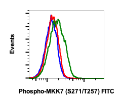Phospho-MKK7 (Ser271/Thr275) (R4F9) rabbit mAb FITC conjugate