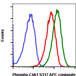 Phospho-Chk1 (Ser317) (F10) rabbit mAb APC conjugate Antibody
